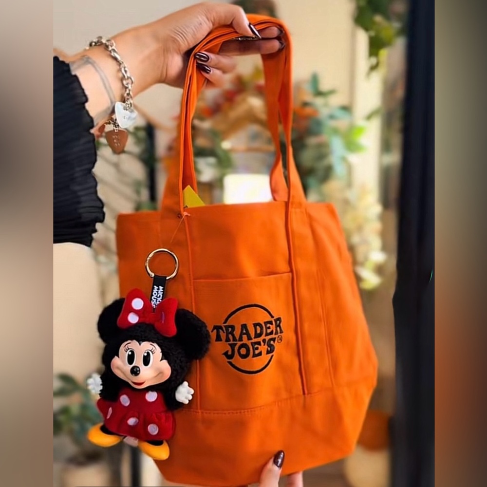 Trader Joe's Orange Fall Mini Tote